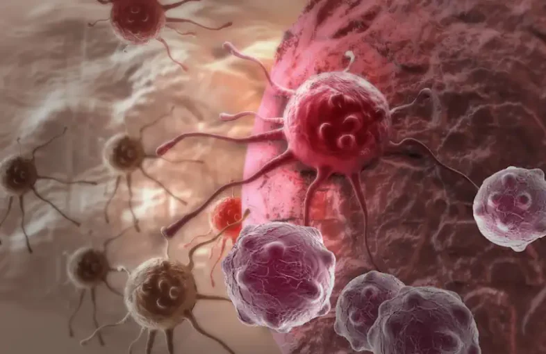 A close-up of several cells
